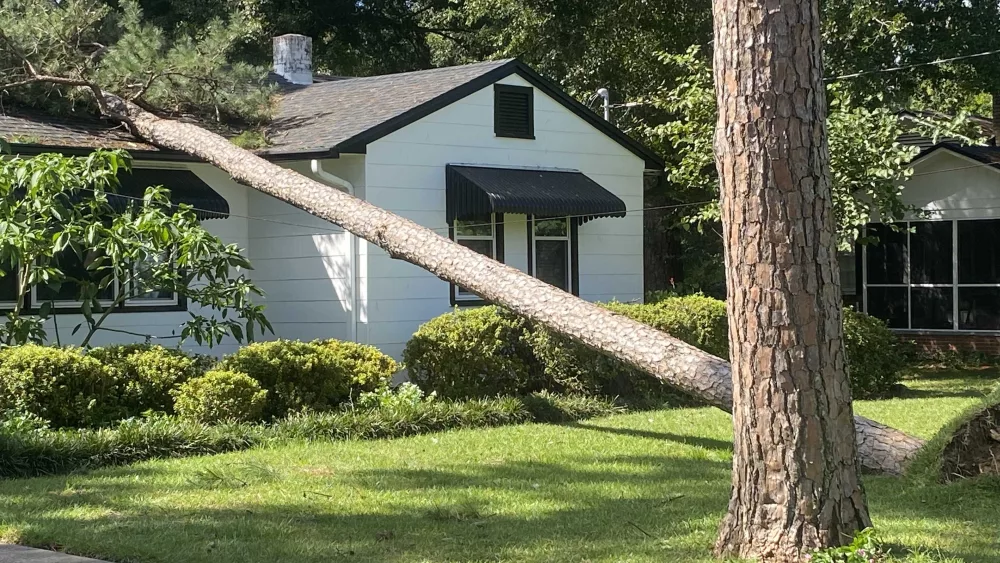 'I jumped up, and there it was': Tallahassee resident describes Hurricane Helene damage