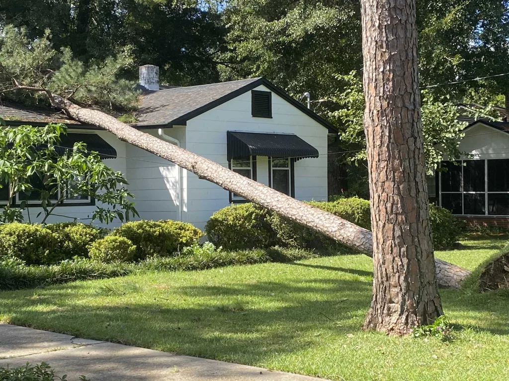 'I jumped up, and there it was': Tallahassee resident describes Hurricane Helene damage