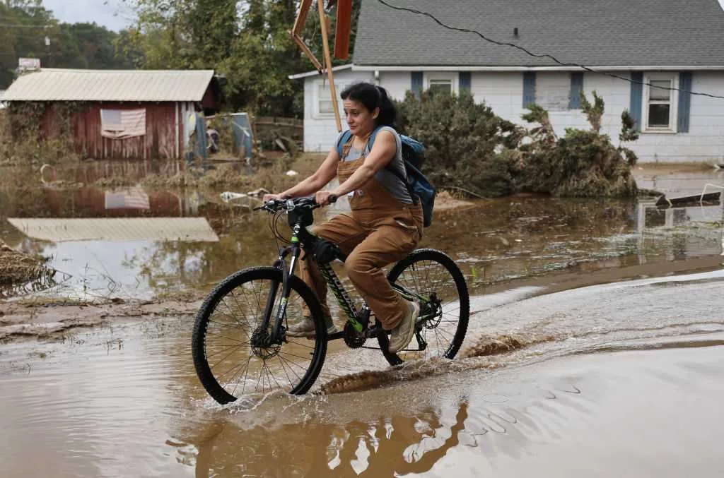 North Carolina distributing Benadryl and EpiPens as bees swarm from Helene flooding