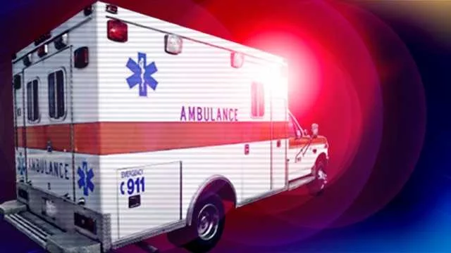 Troopers: Pedestrian killed, driver injured in overnight Beaufort County crash