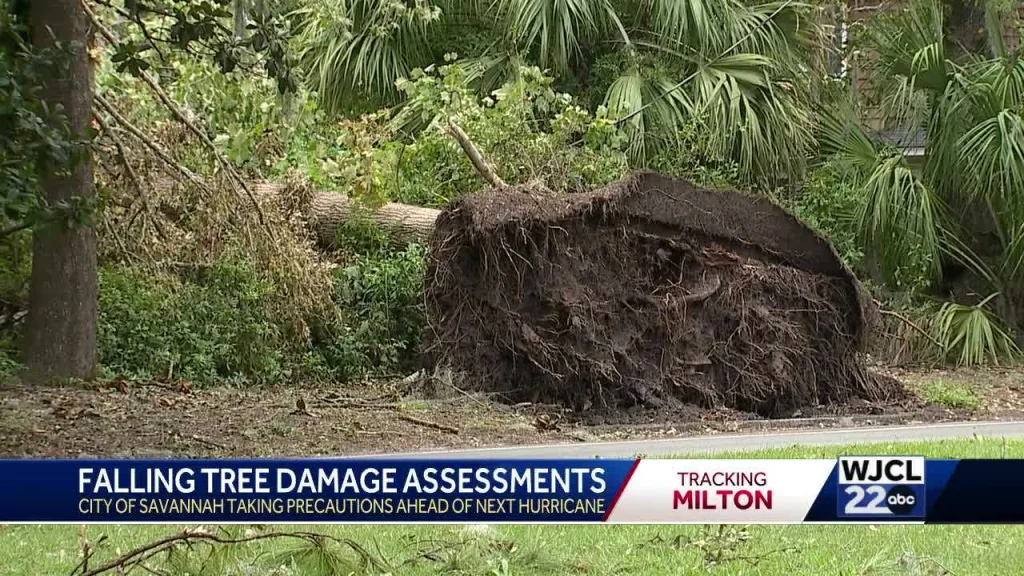 Savannah prepares for Hurricane Milton amid ongoing cleanup from Helene