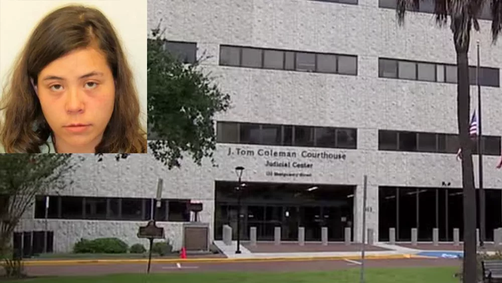 Prosecutors seek to include evidence about drugs, mental state of Savannah mother accused of murder