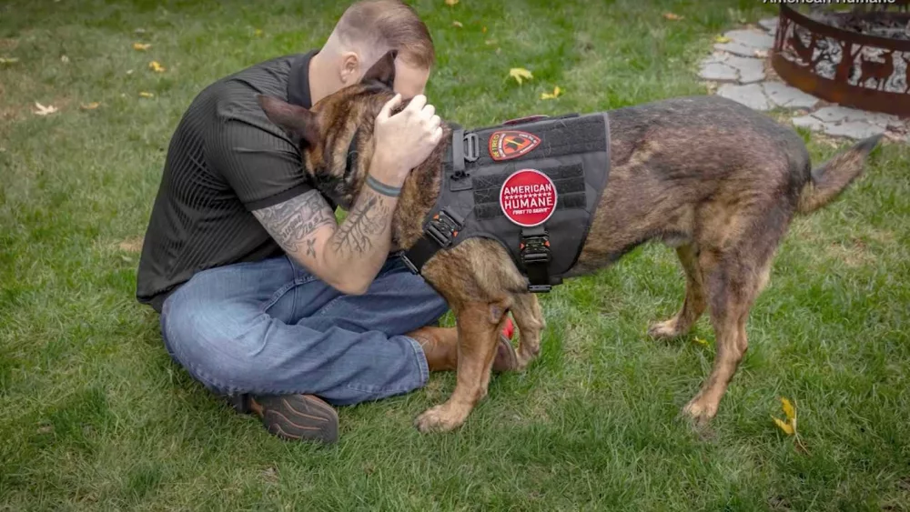 WATCH: Retired military dog reunites with his former handler