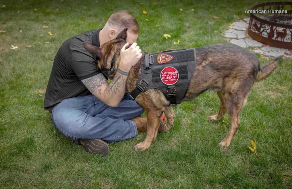 WATCH: Retired military dog reunites with his former handler