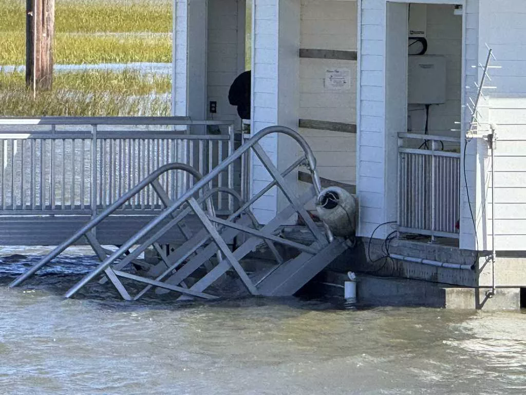 Eyewitness video shows frantic efforts to save lives after deadly collapse of Georgia dock walkway