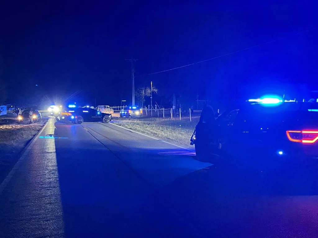 Pedestrian killed in Long County