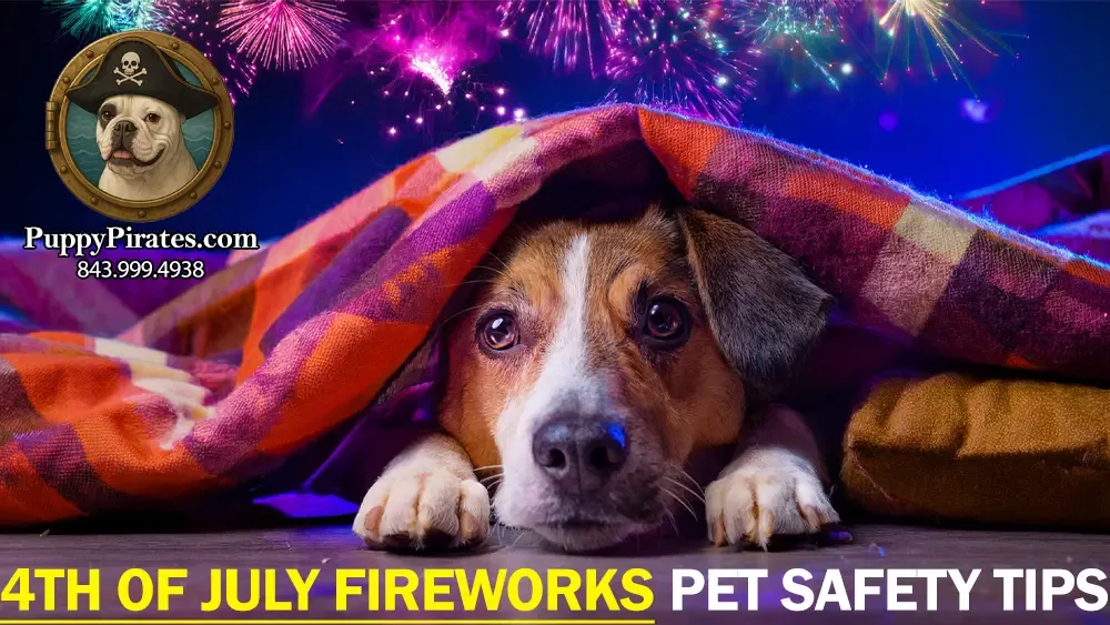 Pet Fireworks FT