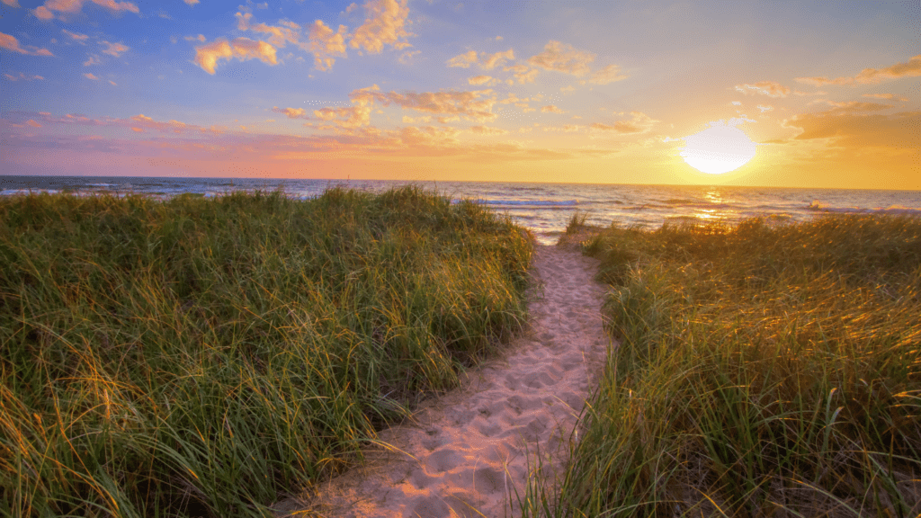 winding-path-2