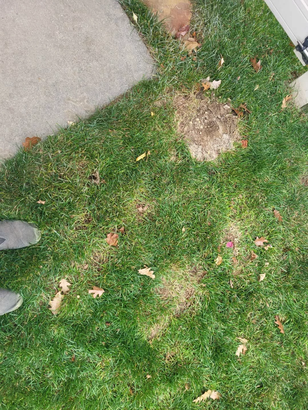 mounds