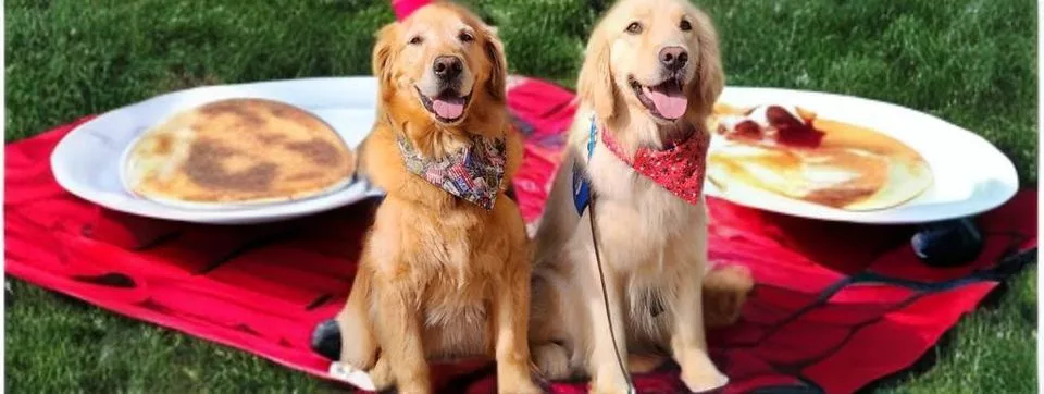dogs-and-pancakes