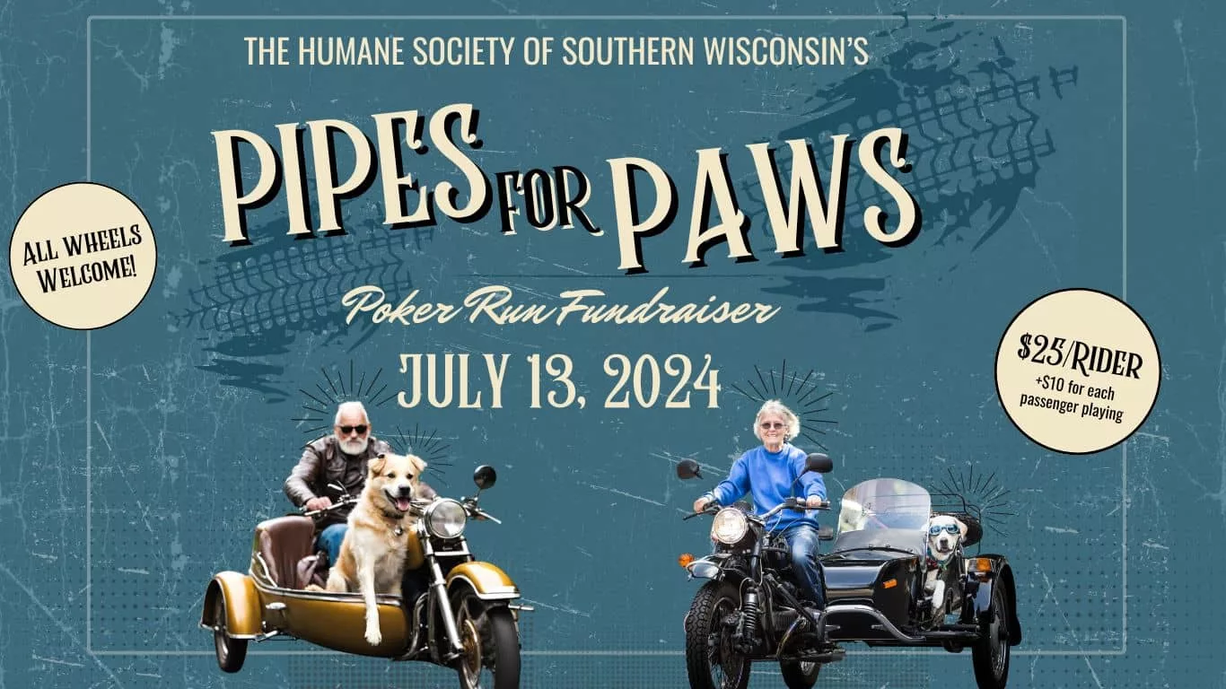 pipes-for-paws-website-header