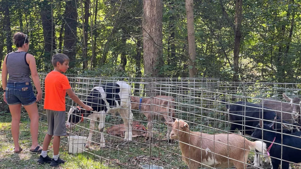 petting-zoo