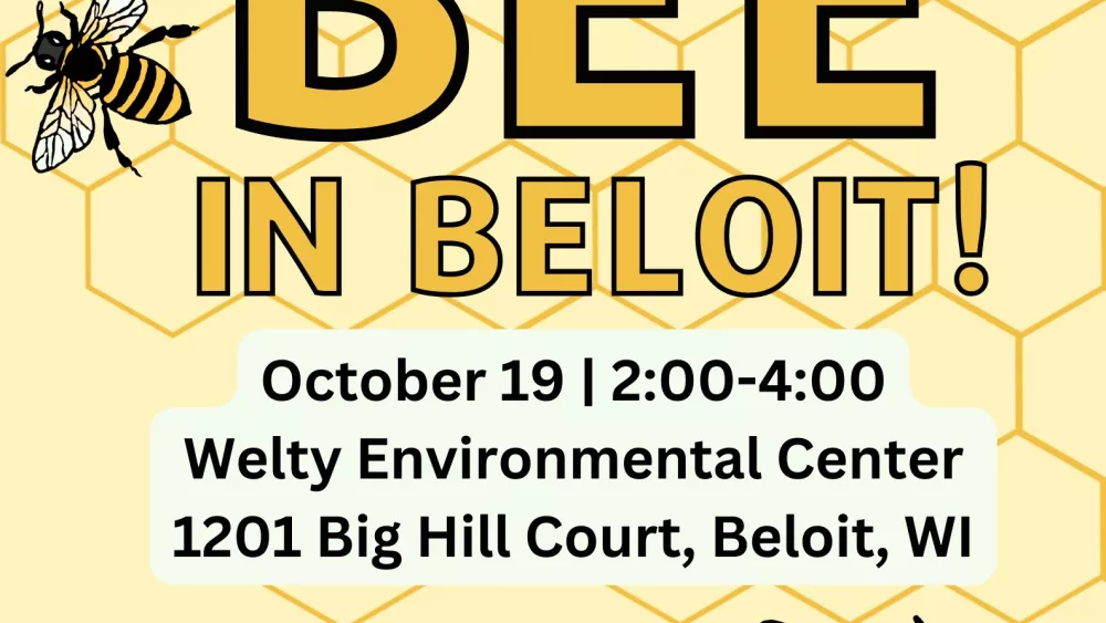 bee-in-beloit