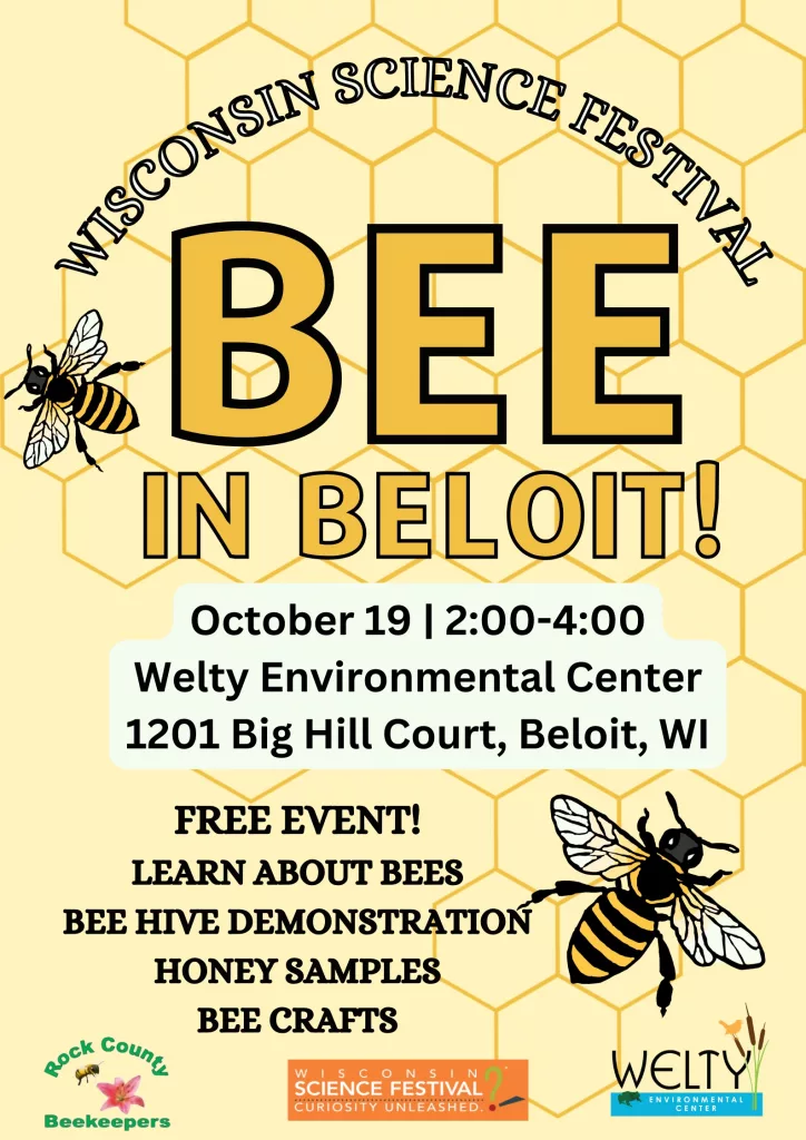 bee-in-beloit