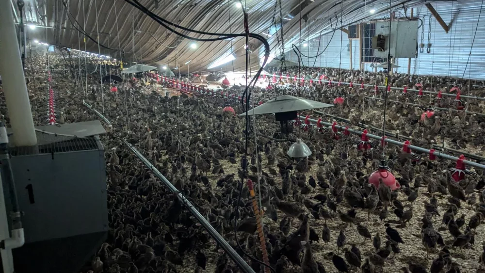 pheasant-barn-damage-2