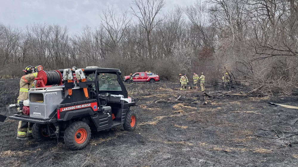marsh_fire