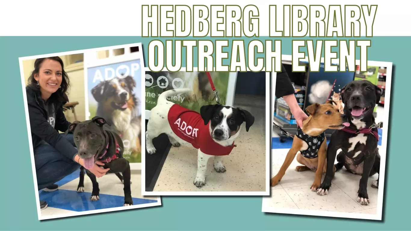 hedberg-library-adoption-event-1-png-5