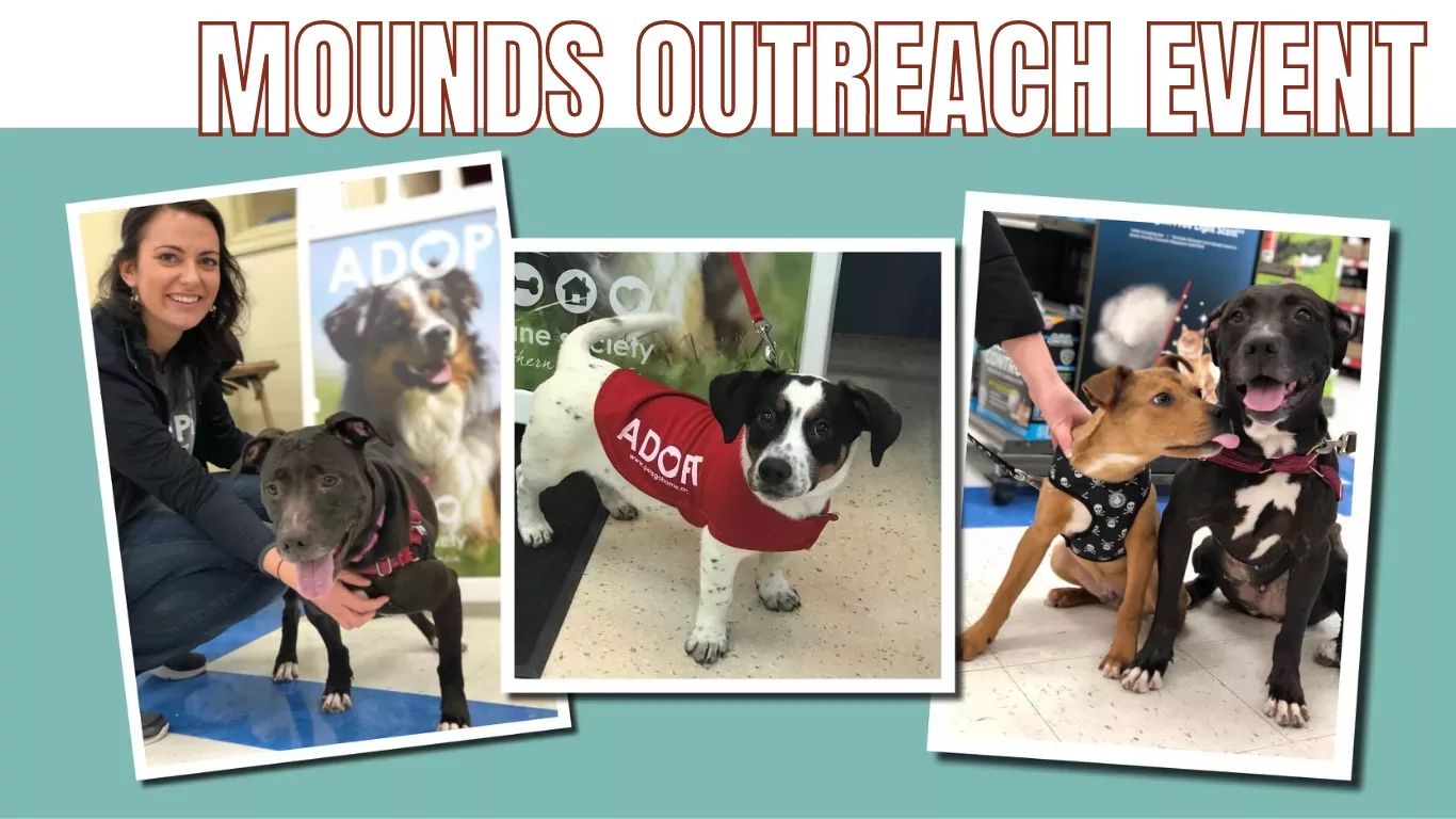mounds-adoption-event-png-3