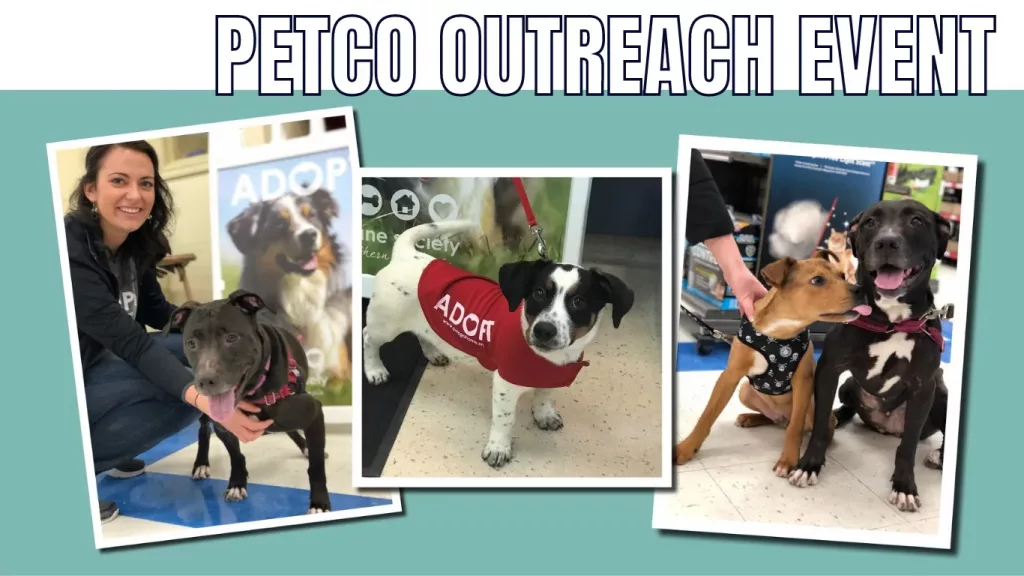 petco-adoption-event-png-7