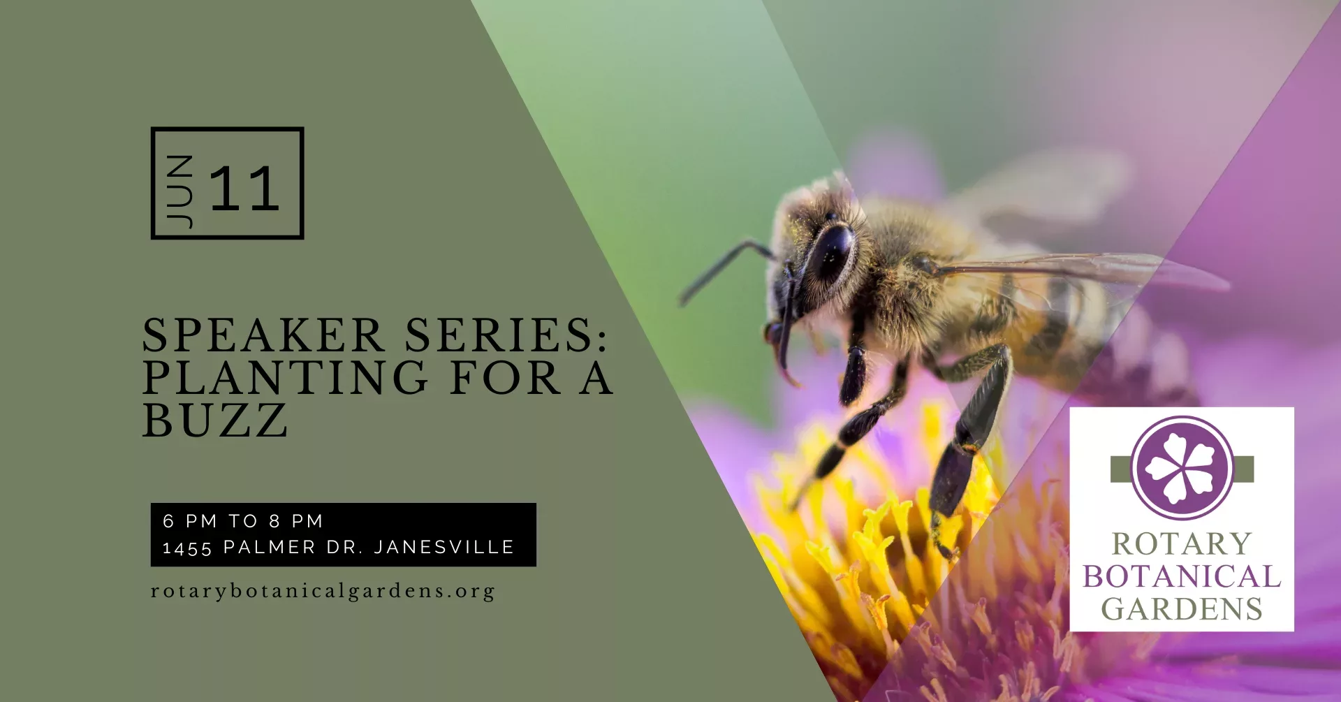 2025-6-11-planting-for-a-buzz-fb-event-headers-2-png