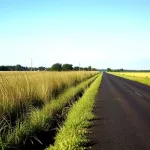 roadside-weeds-ai-screenshot-2025-04-24-at-19-35-04-ai-image-generator-create-ai-art-text-to-image-artspace-ai-png-4