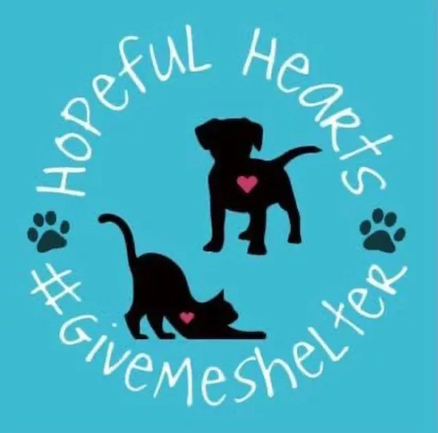 hopeful-hearts-logo-jpg-2