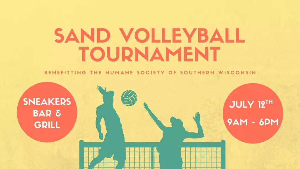volleyball-event-1-2