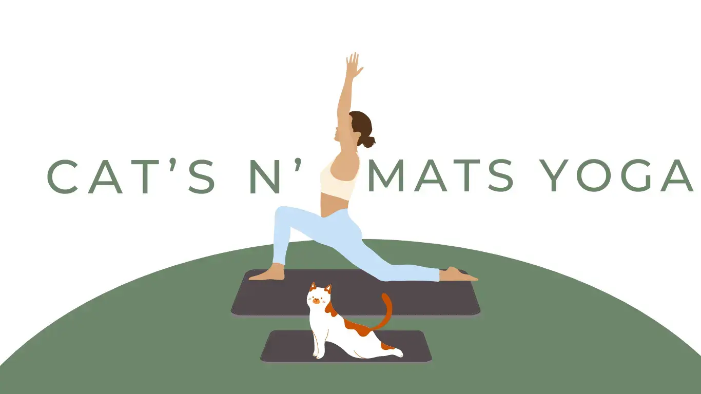 cat-yoga-png-3
