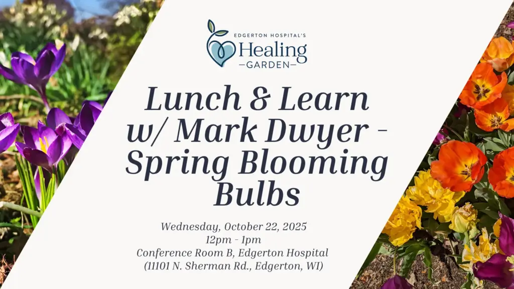 lunch-learn-w-mark-dwyer-fb-event-1-png-2