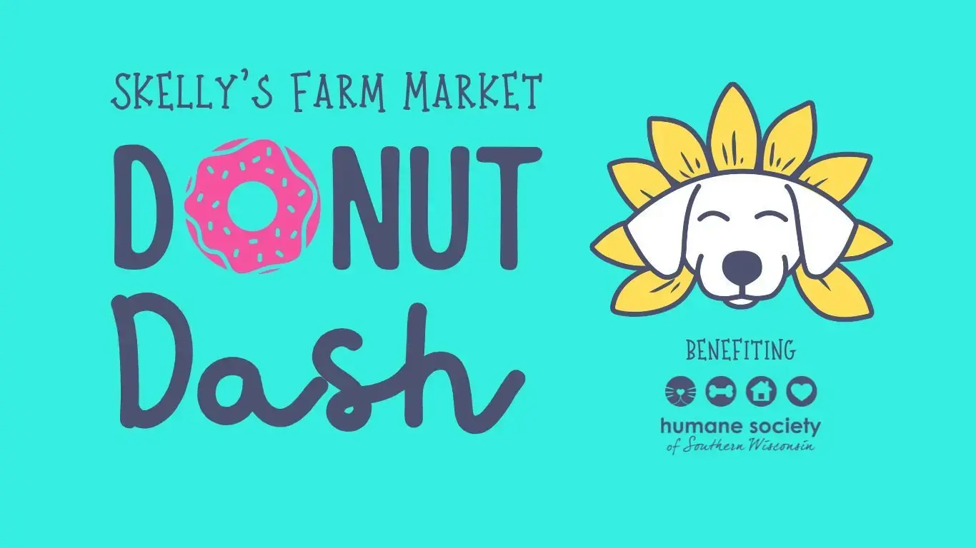 donut-dash-website-website-jpg-2