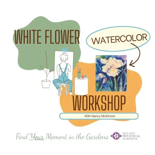 2026-white-flower-watercolor-workshop-png