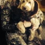 Camo Dog