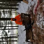 20181117_103923-1024x768