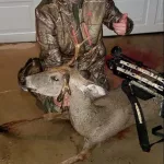 zcamera-20180929_201222-498x1024