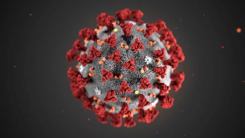 corona-virus-jpg