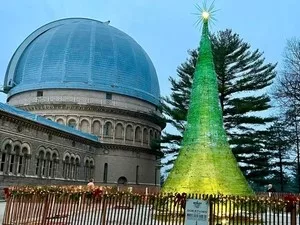 tallest-glass-tree-jpg-2