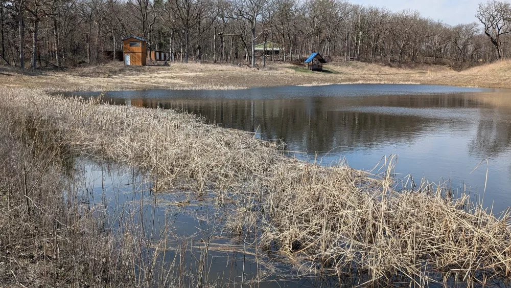 the-pond-at-the-boyscout-camp-pxl_20250412_201134380-jpg