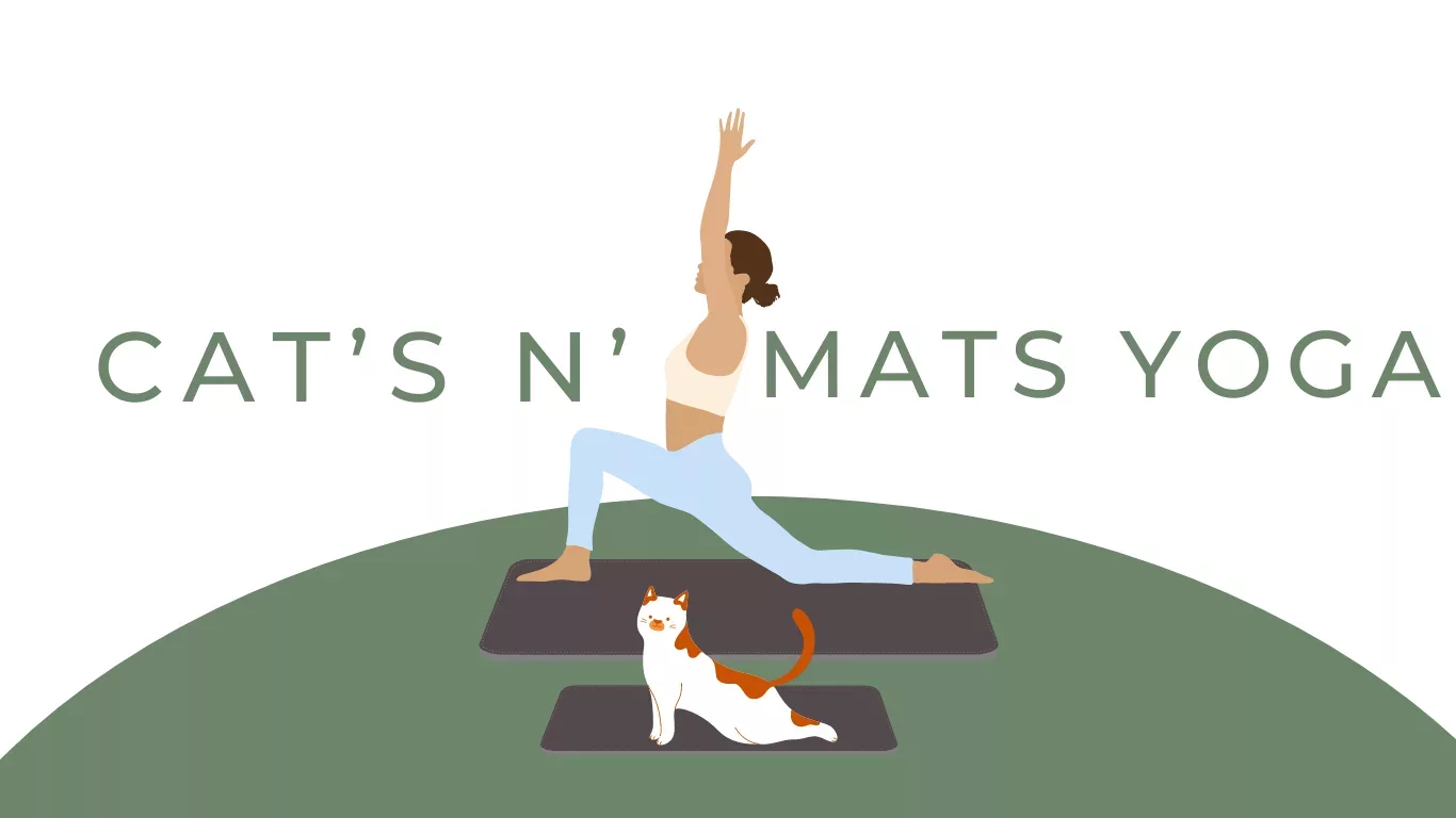 cat-yoga-png