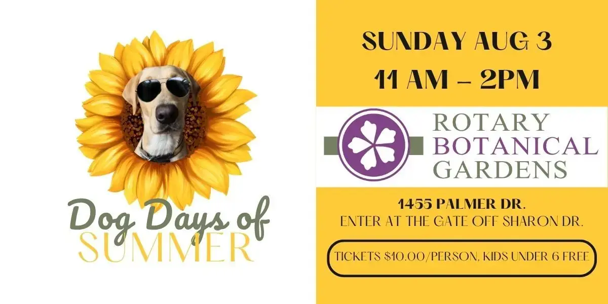 2025-dog-days-of-summer-banner-jpg