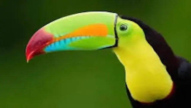 costa-rica-2-large-jpeg-2