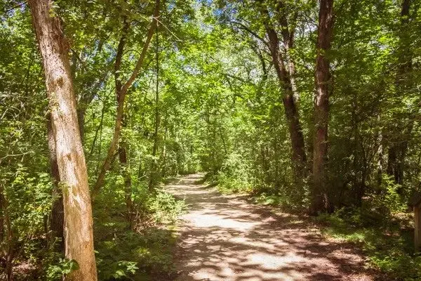 cook-arboretum-jpeg-2
