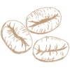 home-coffee-beans