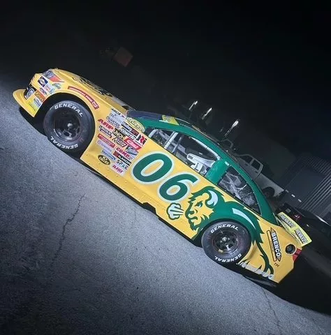 Bison car