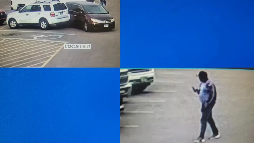 hit and run