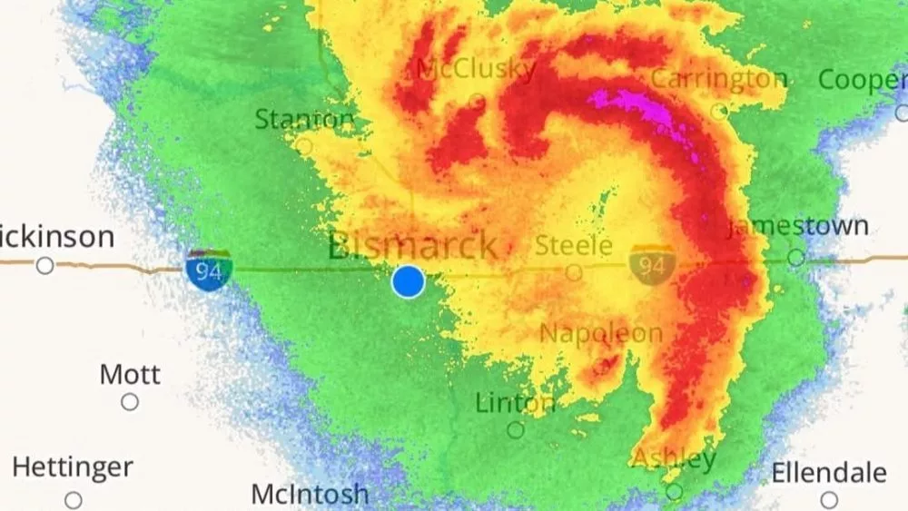 cat4