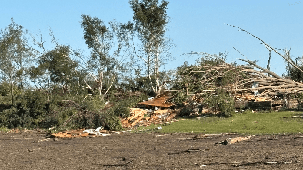 Image of downed trees and home damage in Enderlin ND
