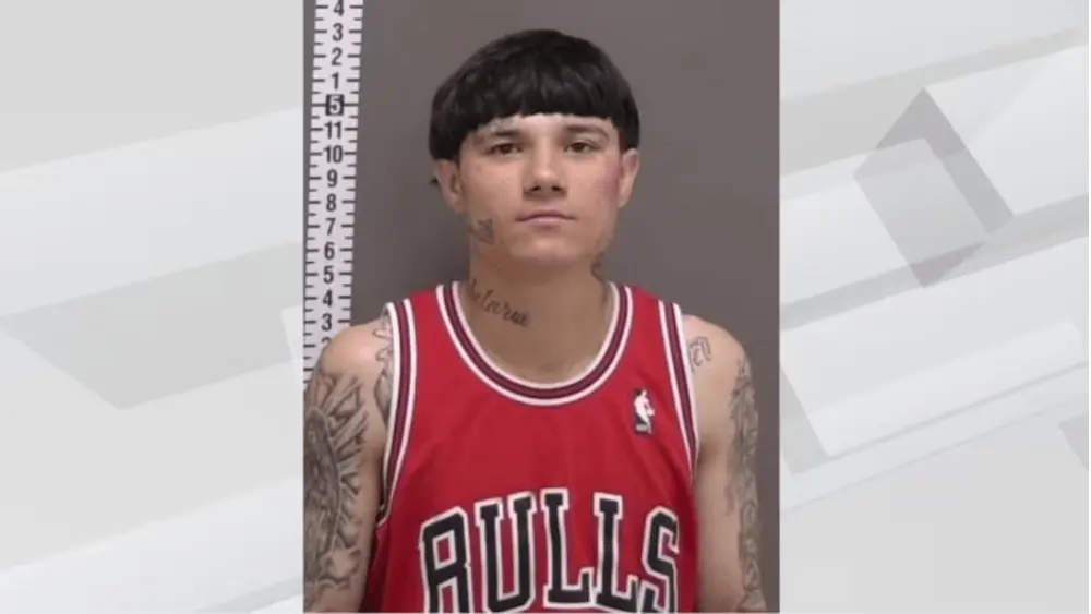 Mugshot of Dominic Long