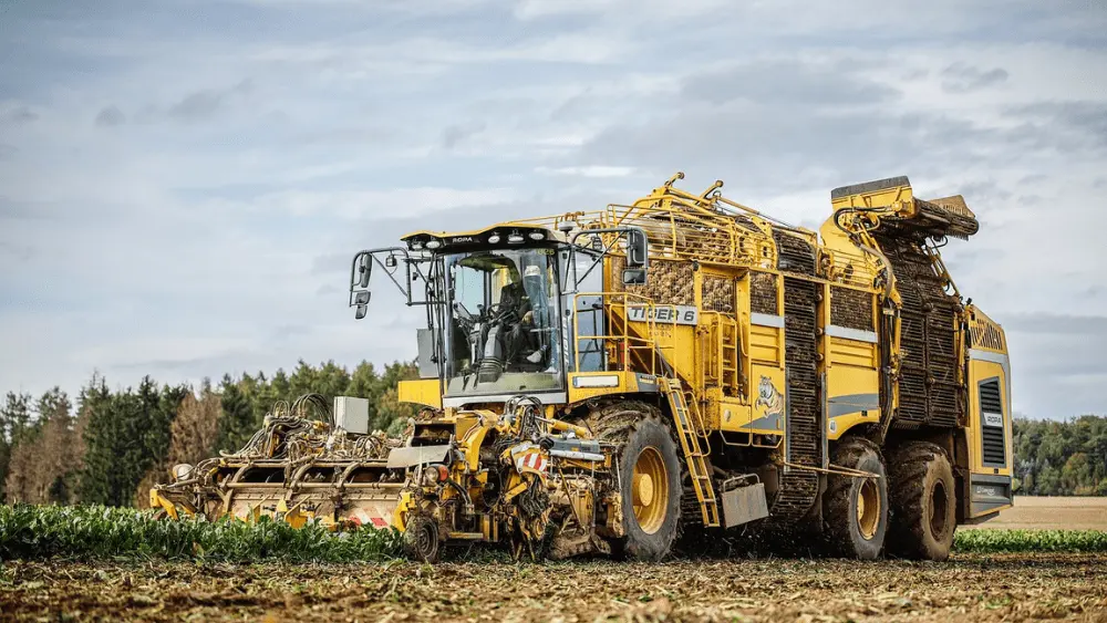 A machine working with beets