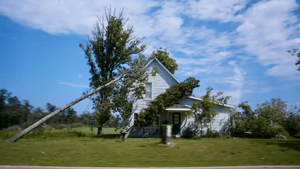 Bemidji storm damage2