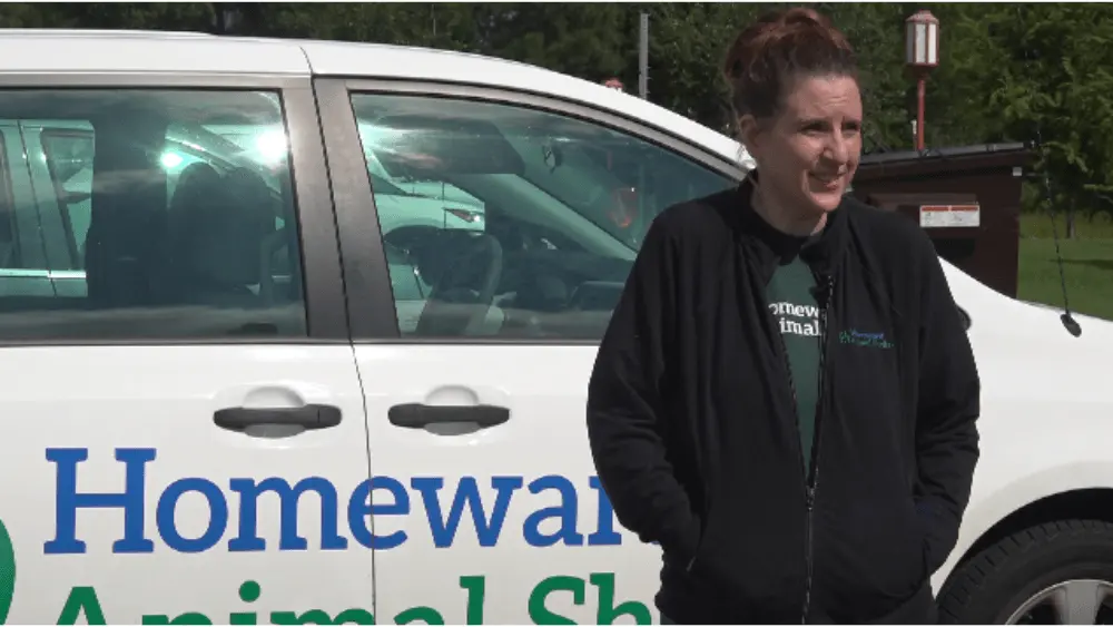 Image of Heather Clyde^ Operations Director at Homeward Animal Shelter